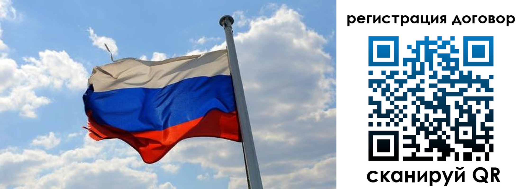 найти адрес прописки в Коле